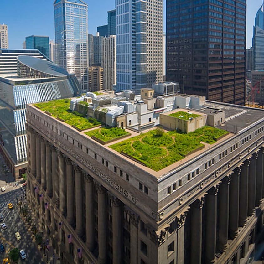 Building better. City Hall в Чикаго сад на крыше. City Hall Rooftop Garden: зеленая крыша в Чикаго. Зеленая крыша» здания City Hall в Чикаго. Городская мэрия, Чикаго.